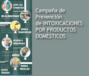 Campaña de prevencion domestica