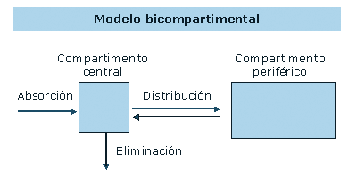 Arriba 91+ imagen modelo bicompartimental